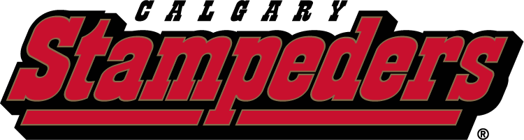 calgary stampeders 2000-2011 wordmark logo iron on transfers for clothing